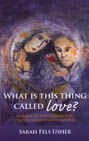 What is This Thing Called Love? A Guide to Psychoanalytic Psychotherapy with Couples