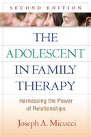 The Adolescent in Family Therapy: Harnessing the Power of Relationships: Second Edition