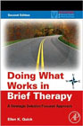 Doing what works in brief therapy: A strategic solution focused approach, 2nd Ed
