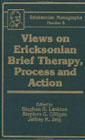 Views on Ericksonian Brief Therapy, Process and Action (Ericksonian Monographs 8)