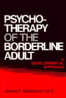Psychotherapy of the Borderline Adult