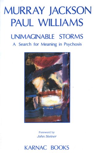 Unimaginable Storms: A Search for Meaning in Psychosis