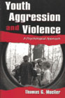 Youth aggression and violence: A psychological approach