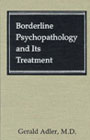 Borderline Psychopathology and Its Treatment