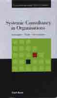 Systemic Consultancy in Organisations: Concepts - Tools - Innovations