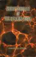 Neuropsychology of the Dreaming Brain