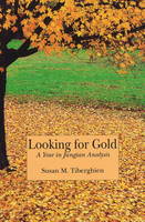 Looking for Gold: A Year in Jungian Analysis