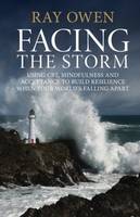 Facing the Storm: Using CBT, Mindfulness and Acceptance to Build Resilience When Your World's Falling Apart