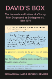 David's Box: The Journals and Letters of a Young Man Diagnosed as Schizophrenic 1960-1971