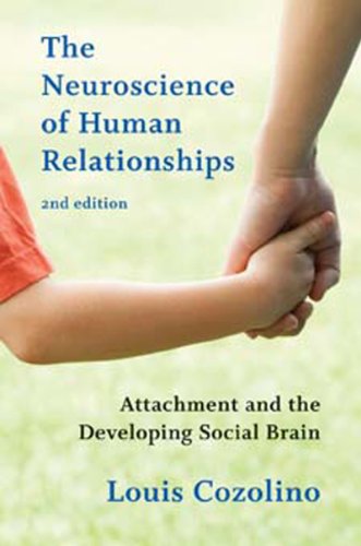The Neuroscience of Human Relationships: Attachment and the Developing Social Brain: Second Edition