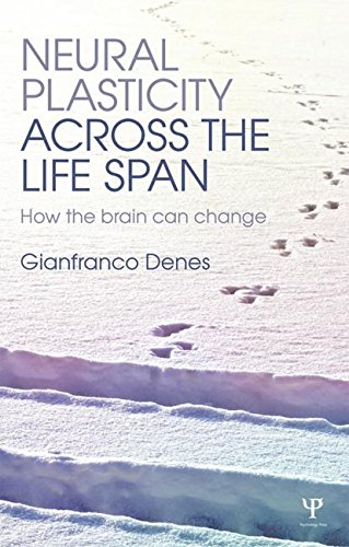 Neural Plasticity Across the Lifespan: How the Brain Can Change