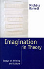 Imagination in theory: Essays on culture and writing