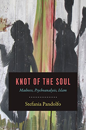 Knot of the Soul: Madness, Psychoanalysis, Islam