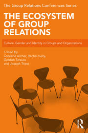 The Ecosystem of Group Relations: Culture, Gender and Identity in Groups and Organizations