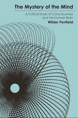 The Mystery of the Mind: A Critical Study of Consciousness and the Human Brain
