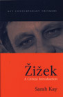 Zizek: A Critical Introduction