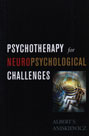 Psychotherapy for Neuropsychological Challenges