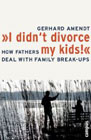 I Didn't Divorce My Kids!: How Fathers Deal with Family Break-ups