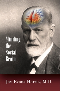 Minding the Social Brain