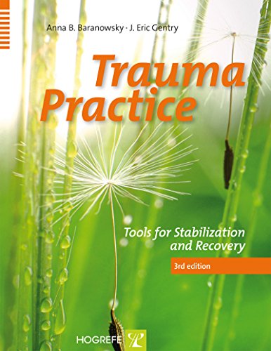 Trauma Practice: Tools for Stabilization and Recovery: Third Edition