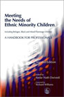 Meeting the Needs of Ethnic Minority Children: A Handbook for Professionals