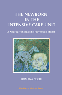 The Newborn in the Intensive Care Unit: A Neuropsychoanalytic Prevention Model: Revised Edition