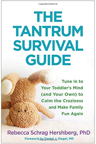 The Tantrum Survival Guide: Tune In to Your Toddler's Mind (and Your Own) to Calm the Craziness and Make Family Fun Again