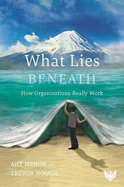 What Lies Beneath: How Organisations Really Work