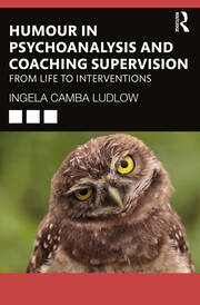 Humour in Psychoanalysis and Coaching Supervision: From Life to Interventions 