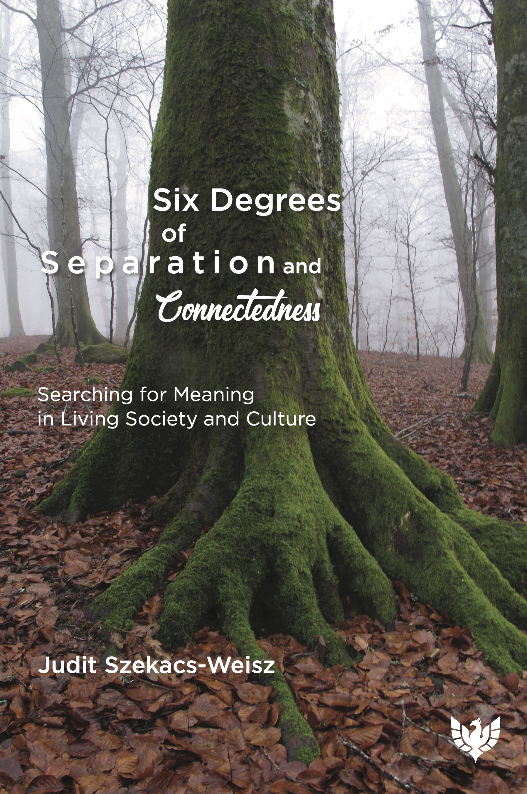 Six Degrees of Separation and Connectedness: Searching for Meaning in Living Society and Culture